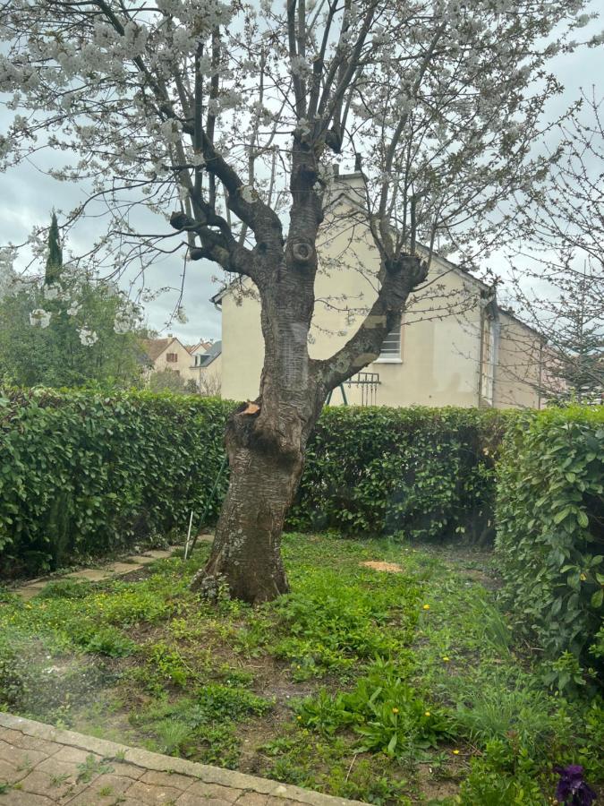Maison Familiale, Quartier Calme Le Mans Eksteriør bilde